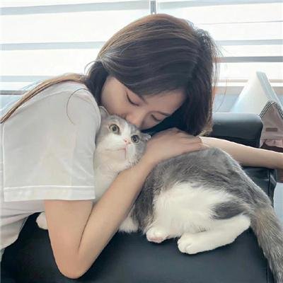 女婿难当